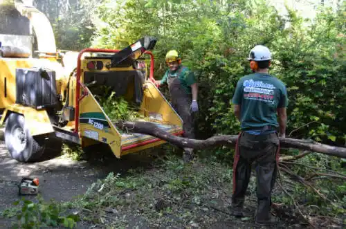 tree services Carrabelle